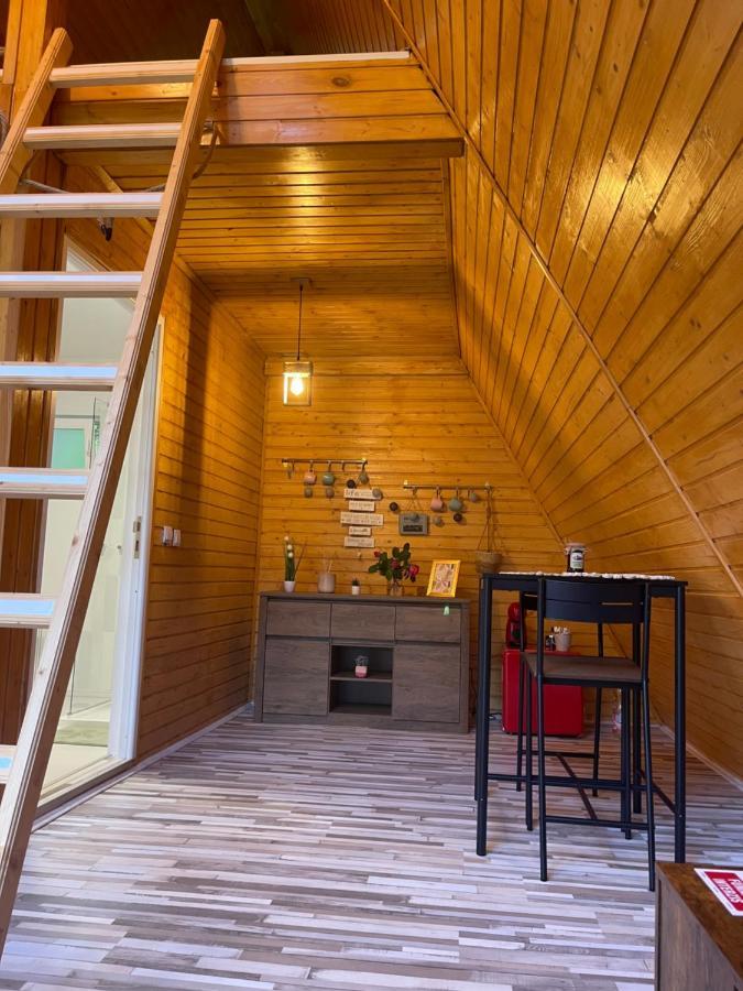 Cabane A-Frame Svinita Eksteriør billede