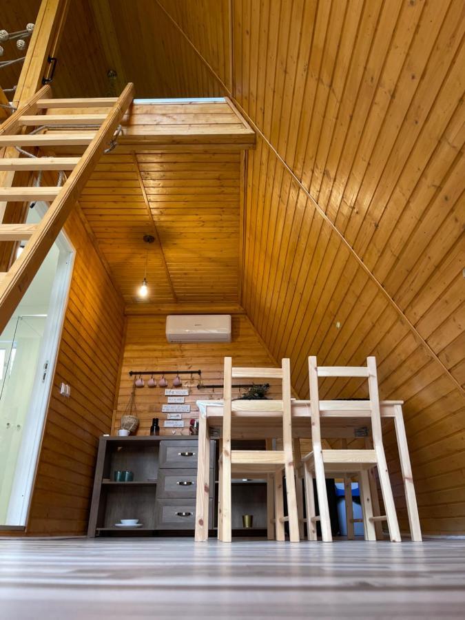 Cabane A-Frame Svinita Eksteriør billede