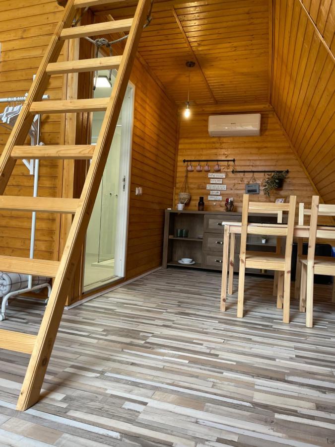 Cabane A-Frame Svinita Eksteriør billede