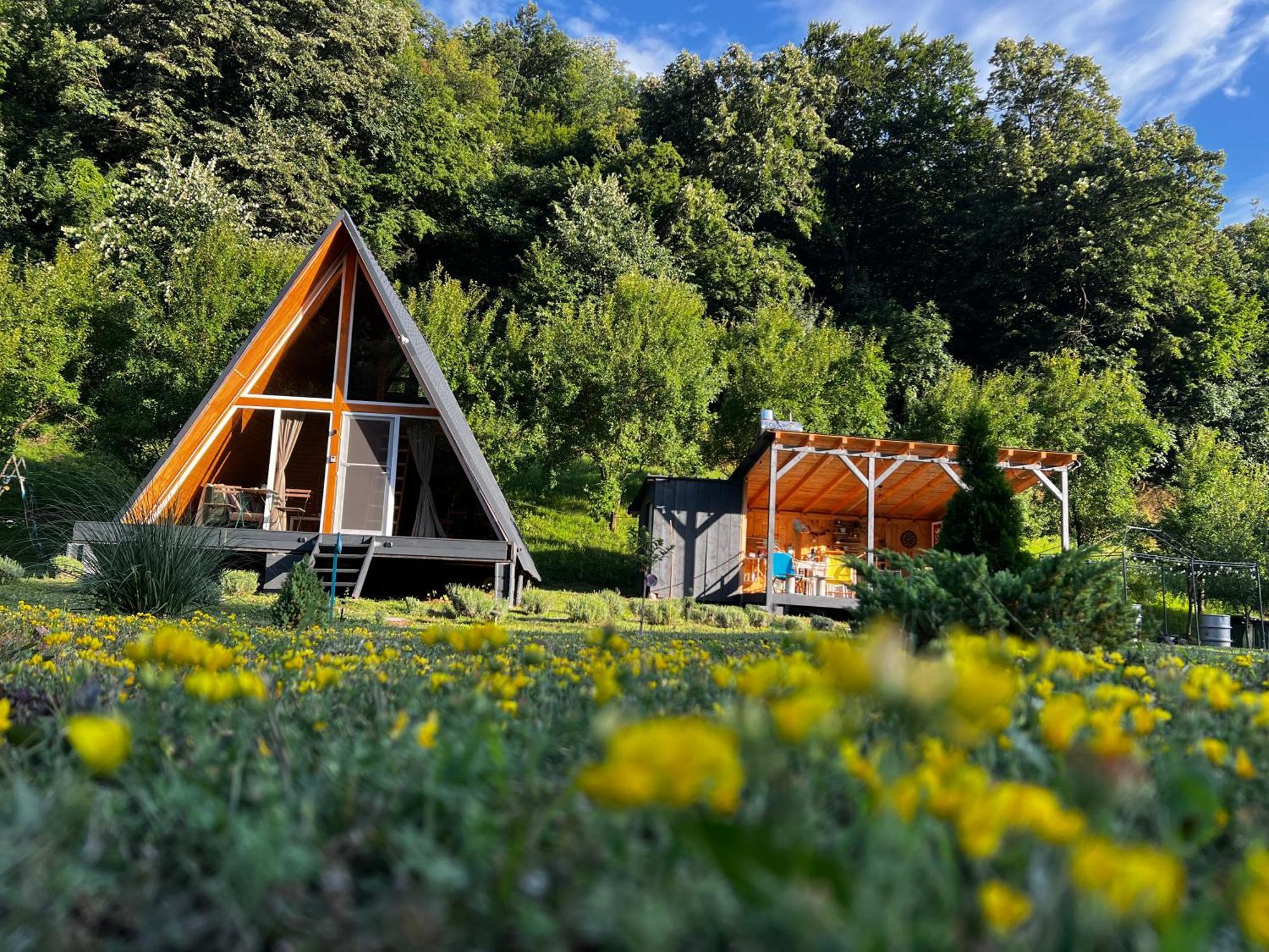Cabane A-Frame Svinita Eksteriør billede