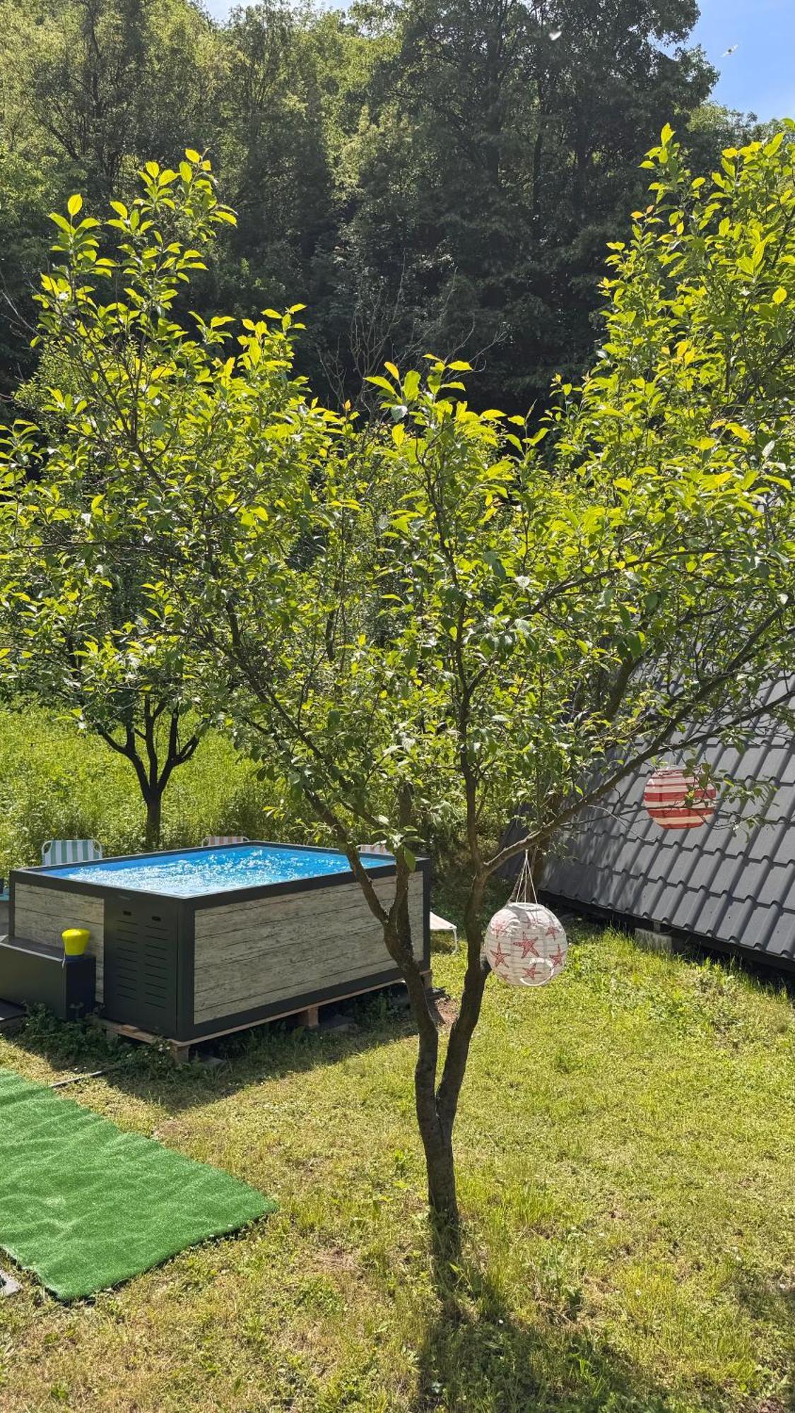 Cabane A-Frame Svinita Eksteriør billede